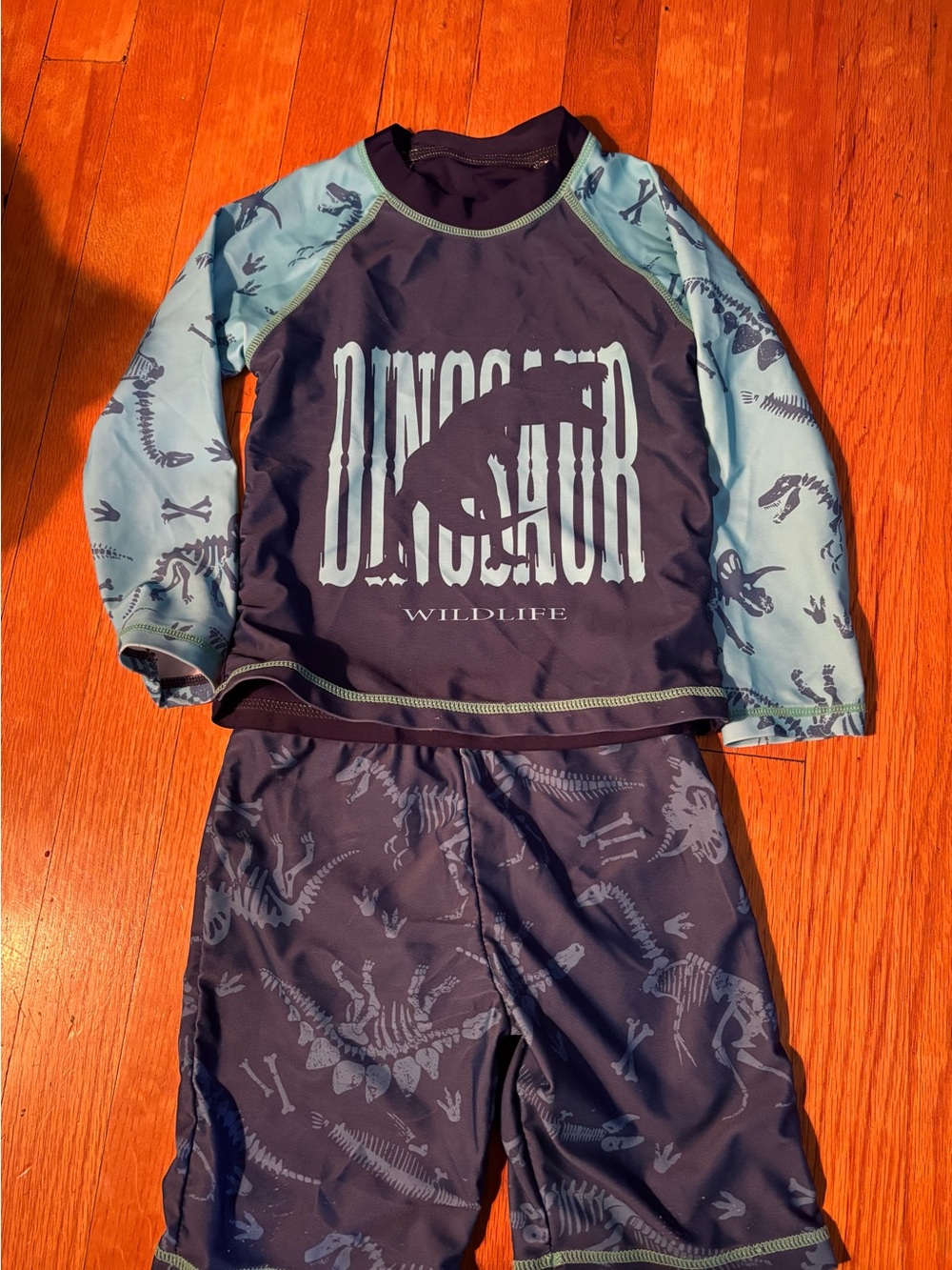 Kids Navy & Light Blue Dinosaur Rash Guard Swim Set